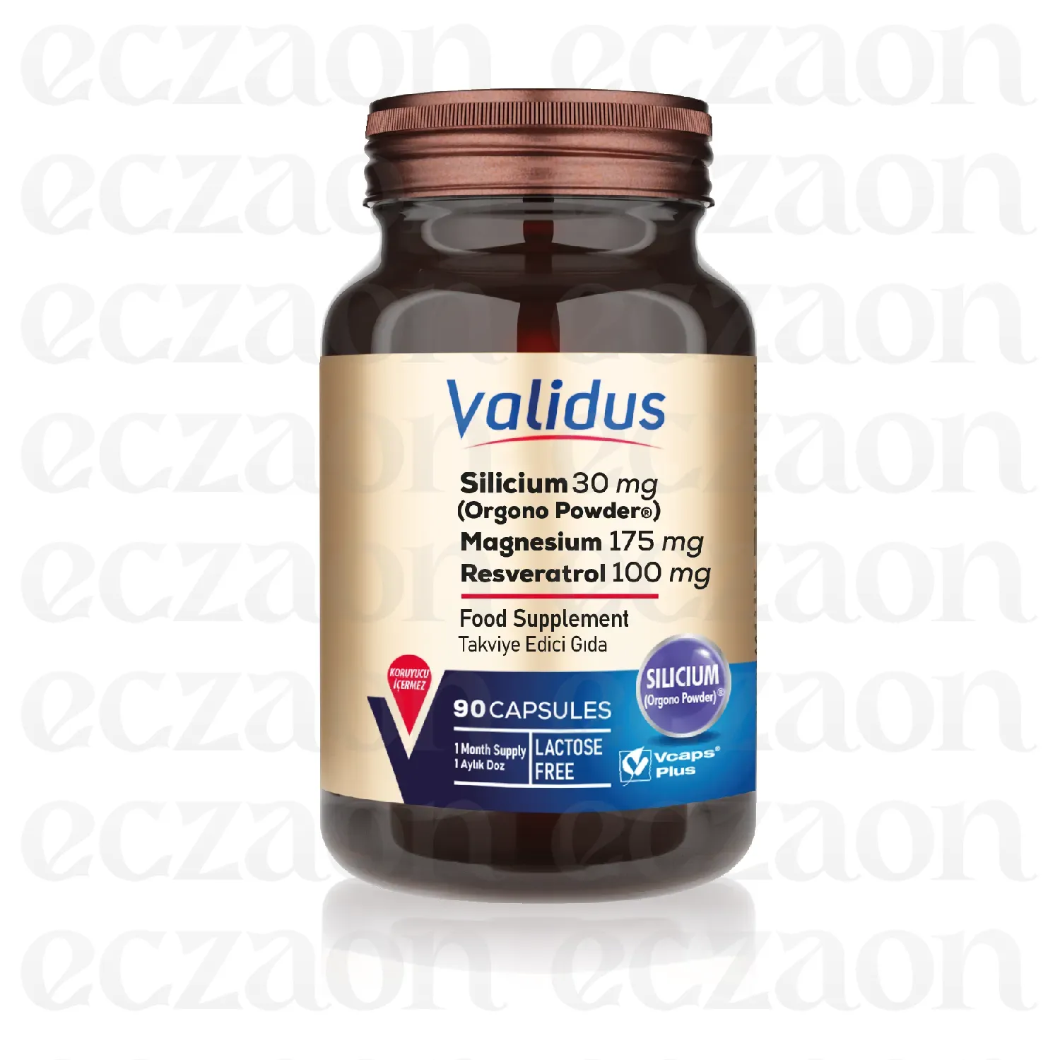 Silicium 90 Capsules (Vcaps Plus)